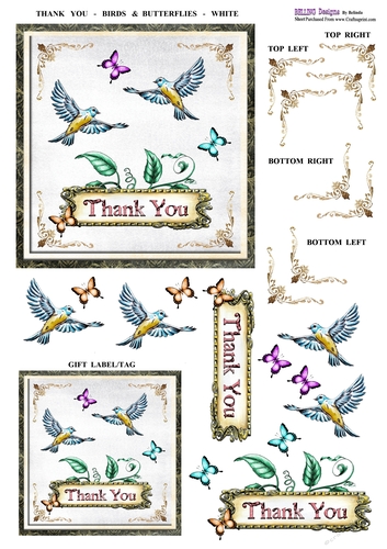 Thank You - Birds & Butterflies - White