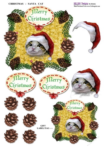 Christmas - Santa Cat