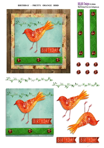 Birthday - Pretty Orange Bird