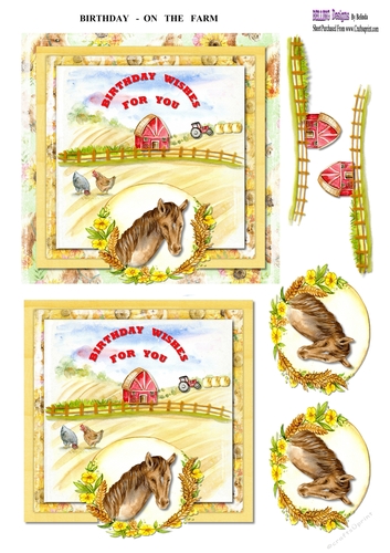 Birthday - On The Farm