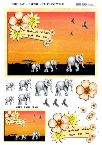 Birthday - Safari - Elephant Walk 