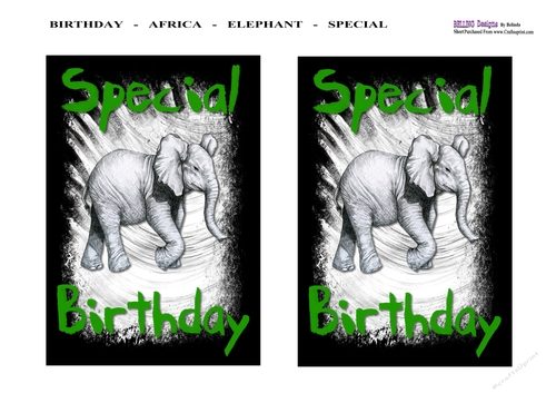 Birthday - Africa - Elephant - Special 