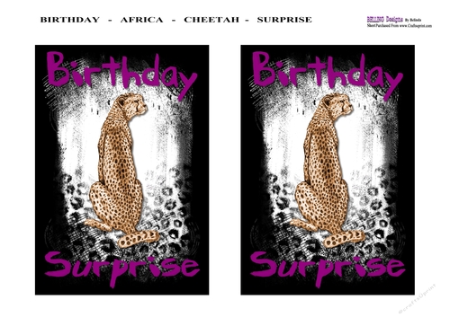 Birthday - Africa - Cheetah - Surprise 