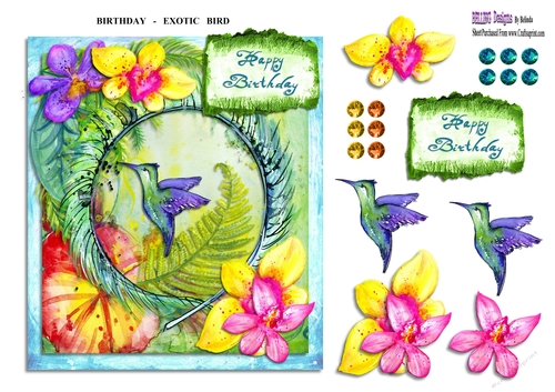 Birthday - Exotic Bird