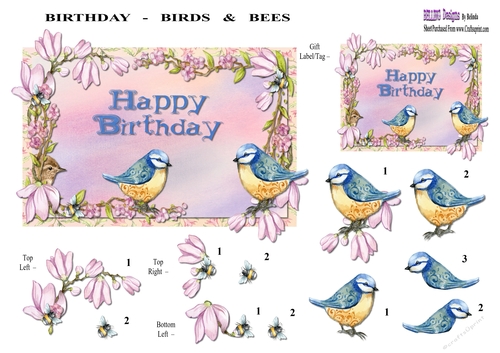 Birthday - Birds & Bees