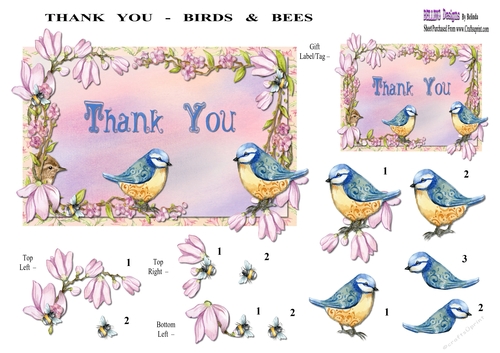 Thank You - Birds & Bees