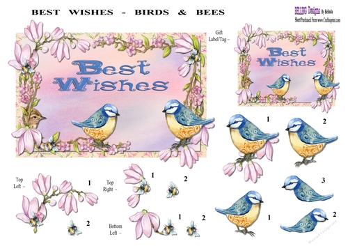 Best Wishes - Birds & Bees