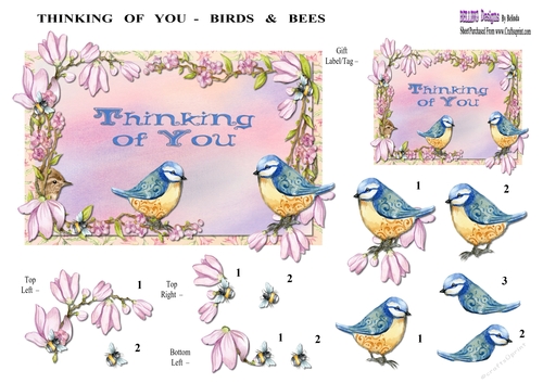 Thinking Of You - Birds & Bees