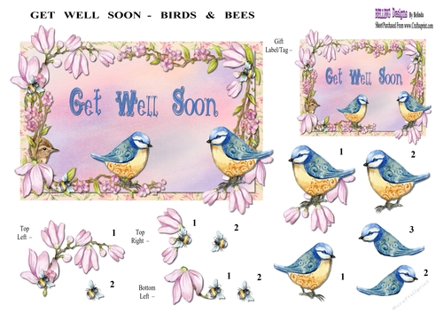 Get Well Soon - Birds & Bees
