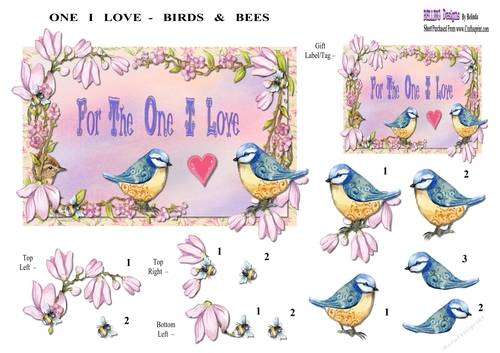 One I Love - Birds & Bees