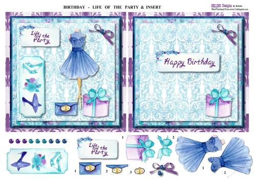Birthday - Life Of The Party & Insert