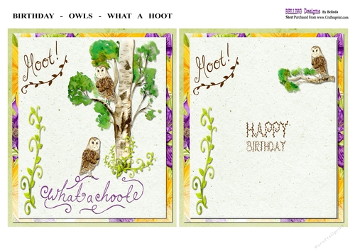 Birthday - Owls - What A Hoot & Insert