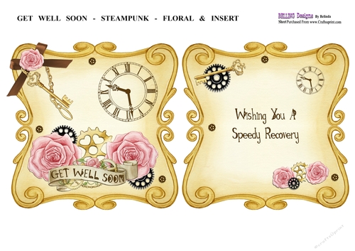Get Well Soon - Steampunk - Floral & Insert