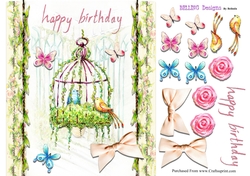 Birthday - Birds & Cage