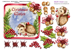 Christmas - Hedgehog