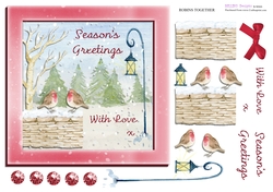 Christmas - Robins Together