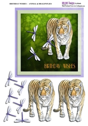 Birthday Wishes - Animal & Dragonflies