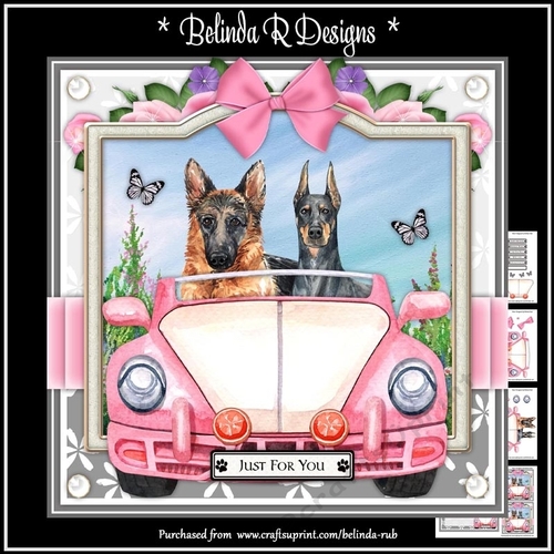 Doggy Road Trip3 Card Kit