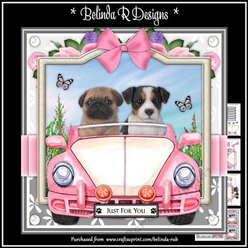 Doggy Road Trip8 Card Kit
