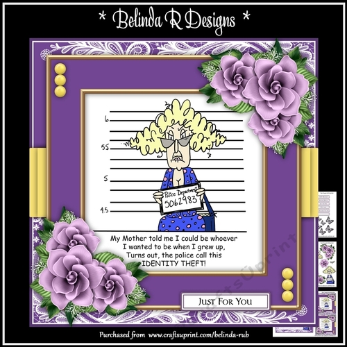 Stella - Identity Theft Mini Card Kit