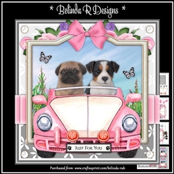 Doggy Road Trip8 Card Kit