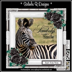 Zebra - Reason to Smile Mini Card Kit