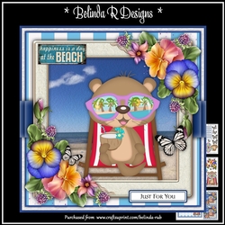 Beach Otter2 Mini Card Kit