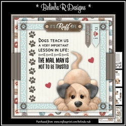 Its a Ruff Life6 Mini Card Kit