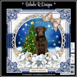 Christmas Dogs5 Mini Card Kit