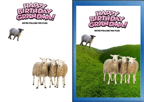 Sheep Birthday Card For Grandma