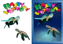 Turtle Birthday Card