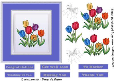 Tulips in a Frame