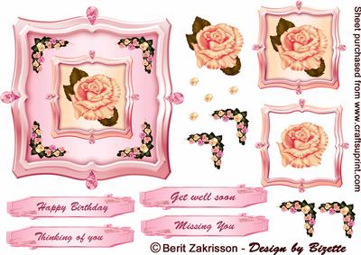 Roses in Double Frames Pink-peach