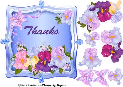 Irises in a Blue Frame
