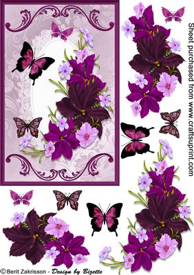 Purple Flowers and Butterflies