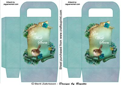 Bird on Scroll Get Well Soon, Medium Gift Bag