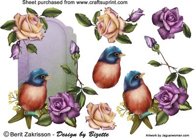 Bird and Roses