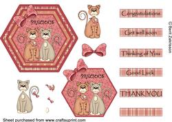 Precious Cats
