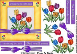 Tulips for Spring
