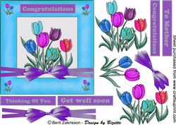 Tulips for Spring 5