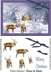 Reindeer Meeting