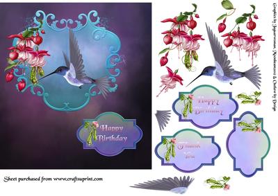 Bird of Paradise and Fuschias
