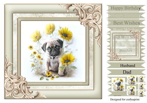 Pug puppy 1