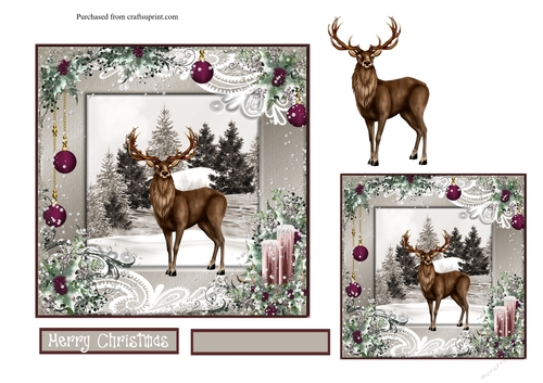 Christmas reindeer