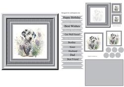 Dalmation puppy 1