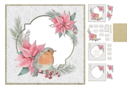 Robin & Poinsetta