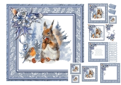 Watercolour Robin & Squirrel
