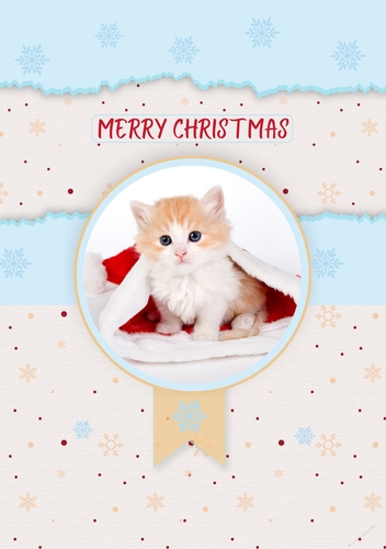 Christmas Kitten in Santas Hat