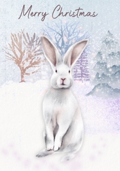 Christmas Bunny Rabbit