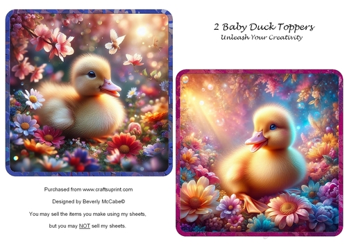 2 Baby Duck Toppers